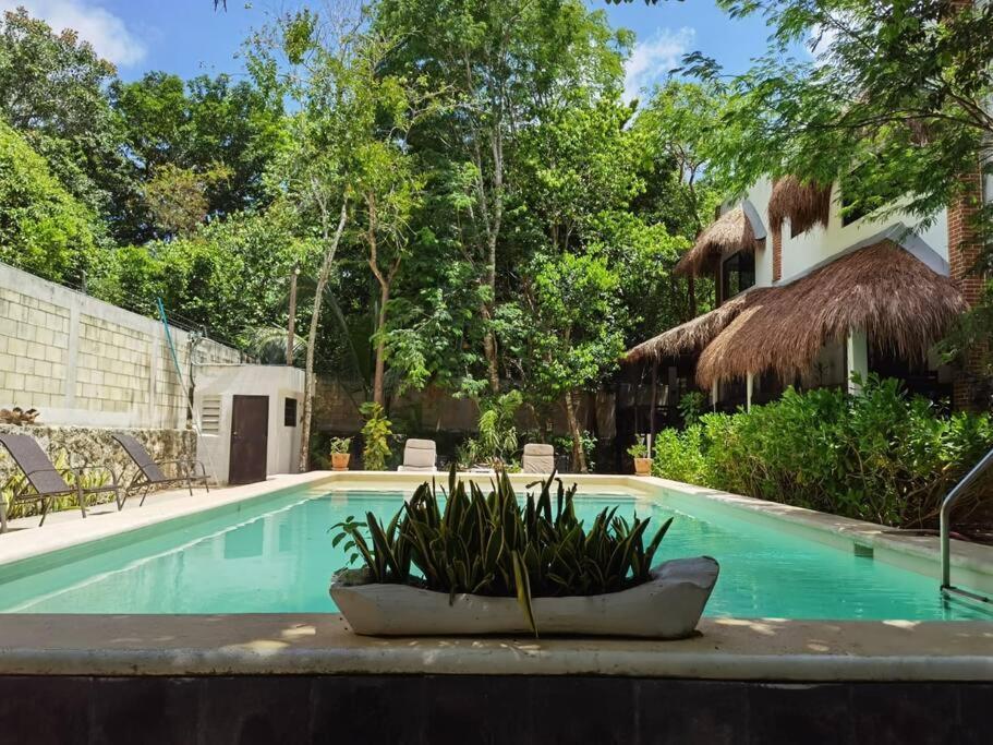 Pousada Nicte 12 Guest 4brd Tulum